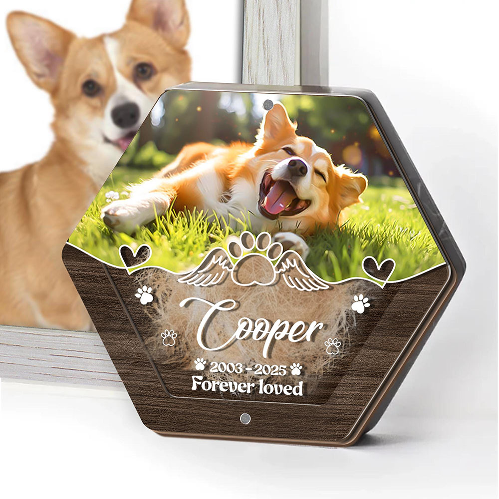 Nome personalizzato Scatola po - Pet Supplies Stores recensione e prezzo