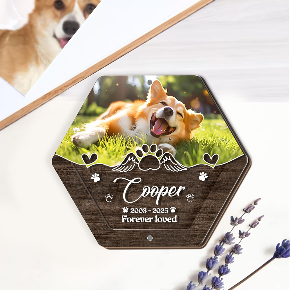 Nome personalizzato Scatola po - Pet Supplies Stores recensione e prezzo