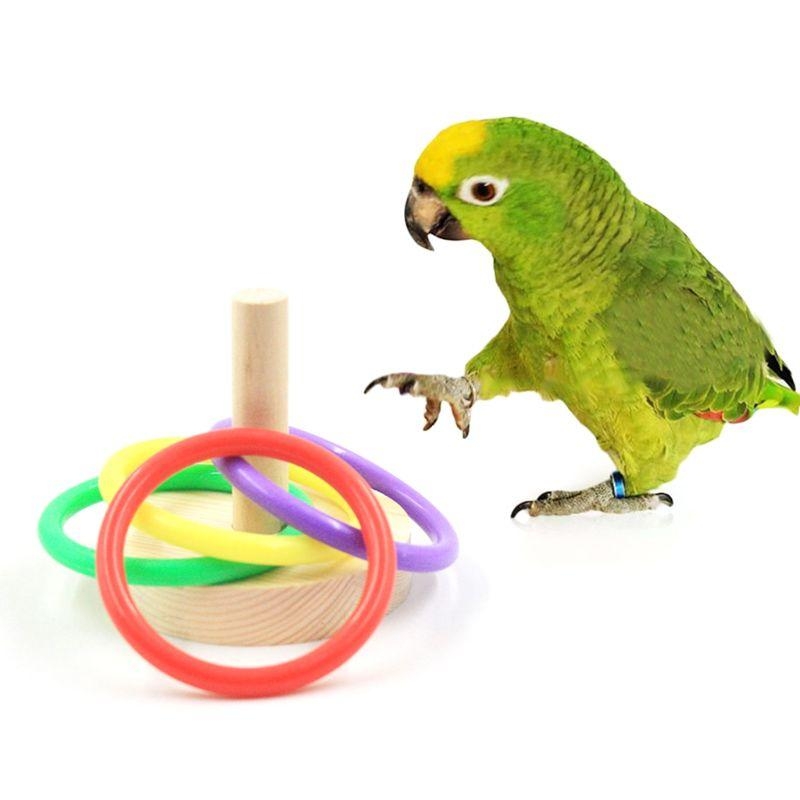 Uccelli Pappagallo Piattaforma - Pet Supplies Ringwood recensione e prezzo