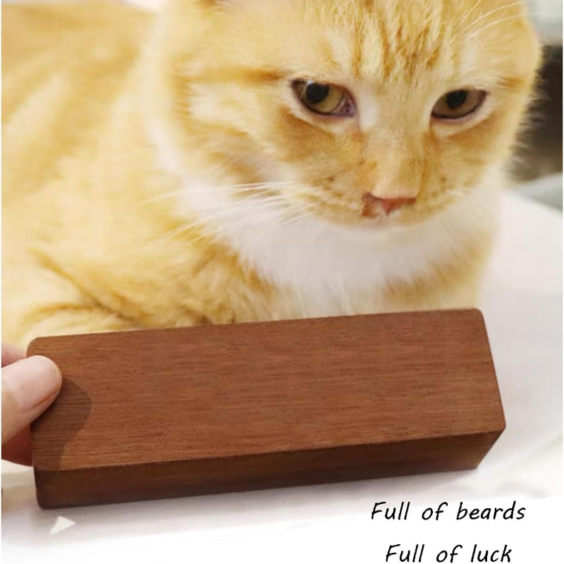Elegante scatola portaoggetti  - Pet Supplies Stores recensione e prezzo
