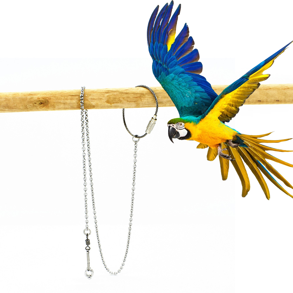 1 pz anello per gamba di pappa - Pet Supplies Ringwood recensione e prezzo